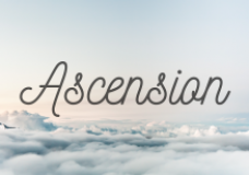 Sermon: Series of Coronations